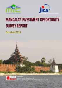 Mandalay Investment Opportunity Survey Report
