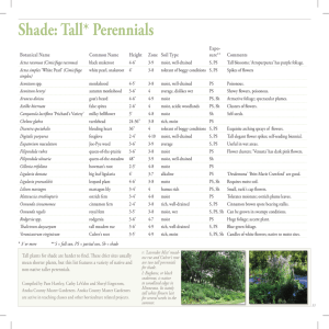 Shade: Tall* Perennials - University of Minnesota Extension
