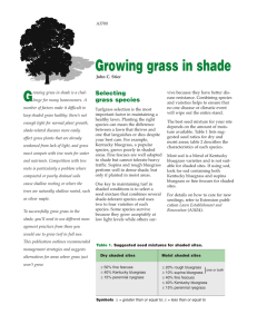Growing Grass in Shade (A3700) - The Learning Store