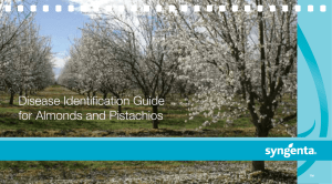 Disease Identification Guide for Almonds and Pistachios
