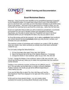 NDUS Training and Documentation Excel Worksheet Basics