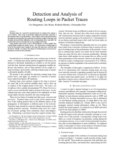 Detection and Analysis of Routing Loops in Packet Traces