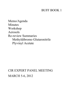 BUFF BOOK 1 Memo/Agenda Minutes Workshop Aerosols Re