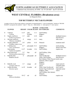 WEST CENTRAL FLORIDA (Bradenton area)