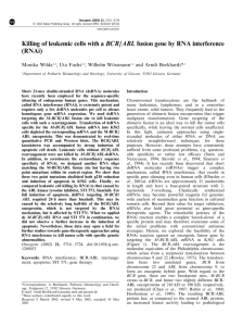 Killing of leukemic cells with a BCR/ABL fusion gene by