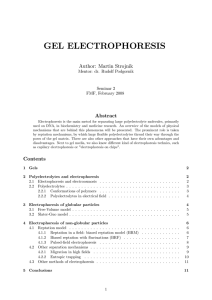 gel electrophoresis - Department of Theoretical Physics