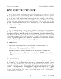 DNA ELECTROPHORESIS