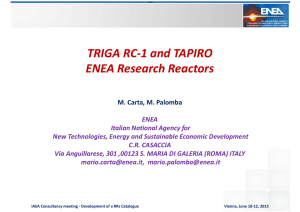 TRIGA RC-1 and TAPIRO ENEA Research Reactors