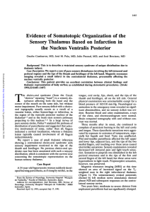 Evidence of Somatotopic Organization of the Sensory