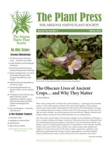 The Plant Press - Arizona Native Plant Society