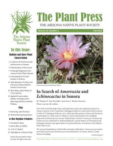 The Plant Press - Arizona Native Plant Society