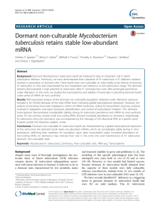 Dormant non-culturable Mycobacterium tuberculosis retains stable