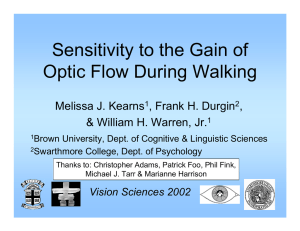Sensitivity to the Gain of Optic Flow During Walking