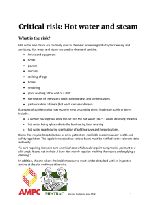 Critical risk: Hot water and steam