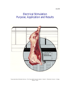 Electrical Stimulation - Sam Houston State University