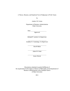 A Theory, Measure, and Empirical Test of Subgroups in Work Teams