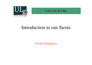 Introduction to run Siesta