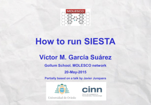 How to run SIESTA