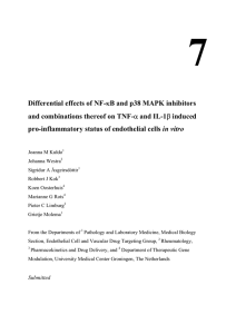 Differential effects of NF-κB and p38 MAPK inhibitors and