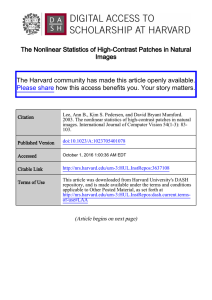 The Nonlinear Statistics of High-Contrast Patches in Natural Images