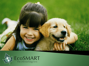 EcoSMART Technologies is the world`s leading producer