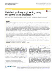 Metabolic pathway engineering using the central signal processor PII