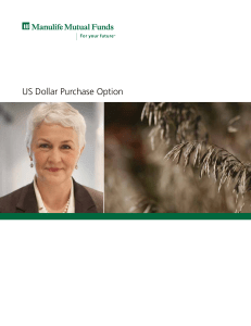 US Dollar Purchase Option - Repsource
