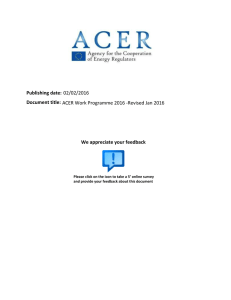 Document title: ACER Work Programme 2016