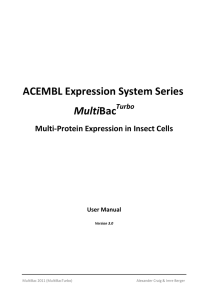 MultiBac Expression System User Manual