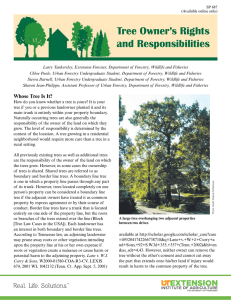 Tree Owner`s Rights and Responsibilities