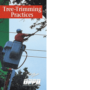 Tree-Trimming Practices