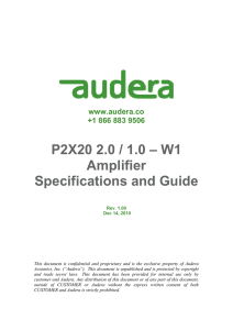 P2X20 2.0 / 1.0 – W1 Amplifier Specifications and Guide