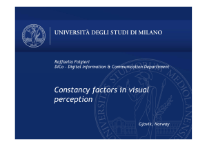 Constancy factors in visual perception