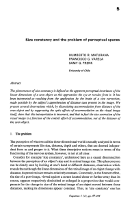 Size constancy and the problem of perceptual spaces