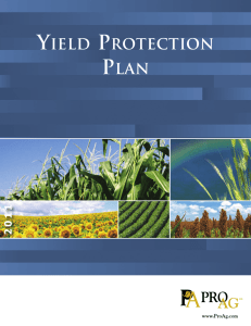 YIELD PROTECTION PLAN