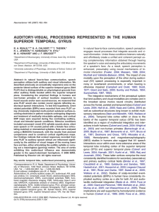 auditory-visual processing represented in the human superior