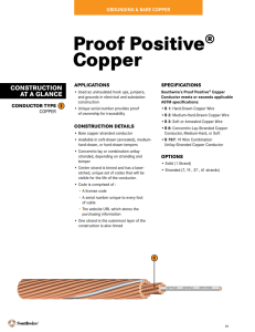 Proof Positive® Copper