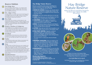 Hay Bridge leaflet - Hay Bridge Nature Reserve