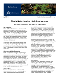 Shrub Selection for Utah Landscapes