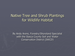 Native Tree and Shrub Plantings for Wildlife Habitat
