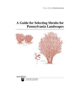 A Guide for Selecting Shrubs for Pennsylvania Landscapes