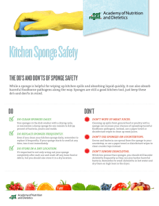 The Kitchen Sponge Safety Guide