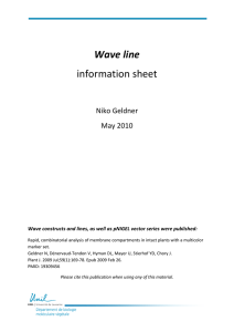 Wave line information sheet
