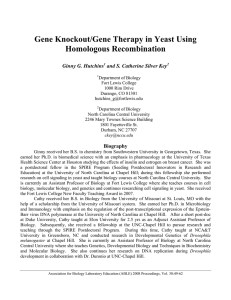 Gene Knockout/Gene Therapy in Yeast Using Homologous