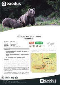 bears of the high tatras trip notes