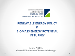 Turkey Energy Policy and Biomass Potential