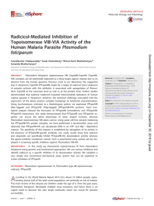 Radicicol-Mediated Inhibition of Topoisomerase VIB-VIA