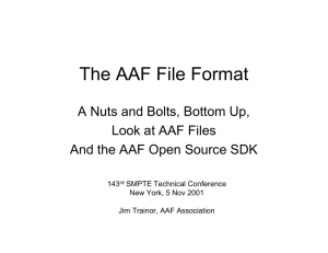 The AAF File Format