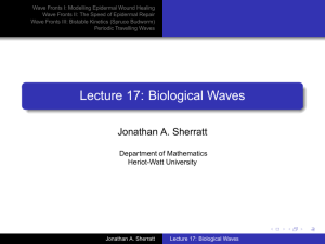 Lecture 17: Biological Waves - Heriot