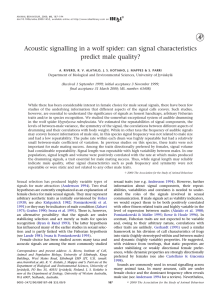 Acoustic signalling in a wolf spider: can signal characteristics predict